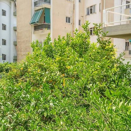 Alimos Sun-Filled Apartment Афины Экстерьер фото