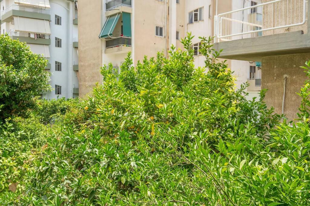 Alimos Sun-Filled Apartment Афины Экстерьер фото